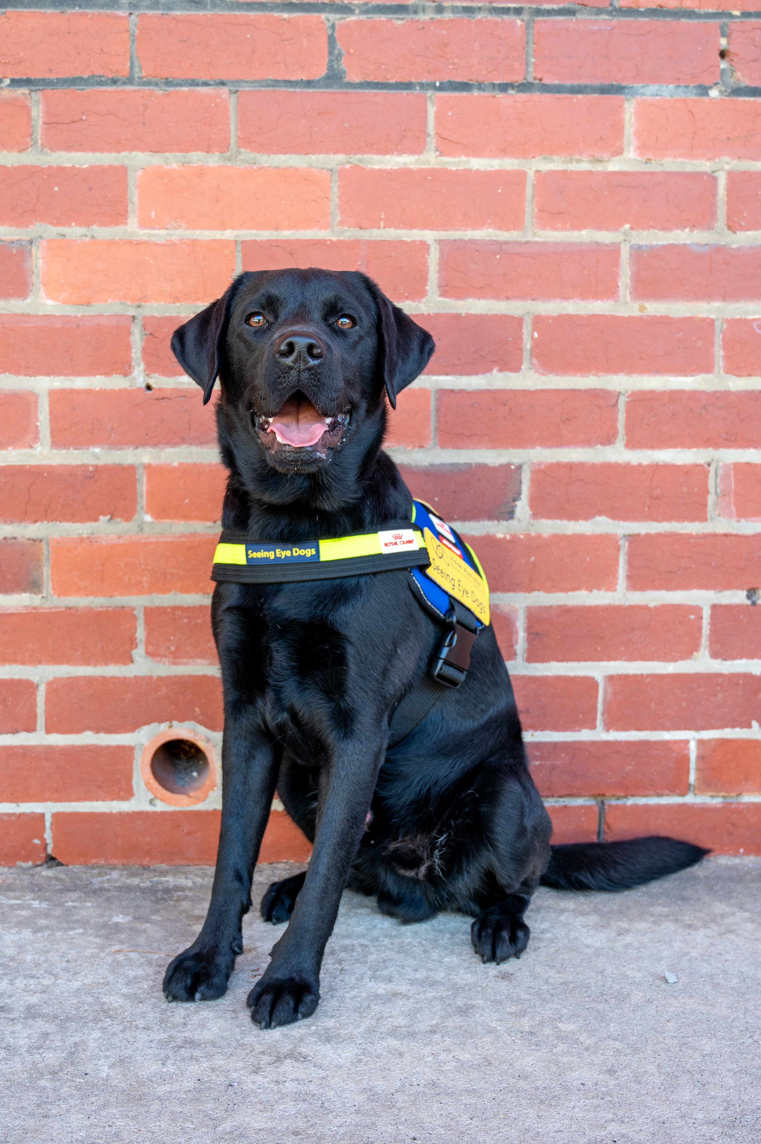 Caspar's Graduation Photo